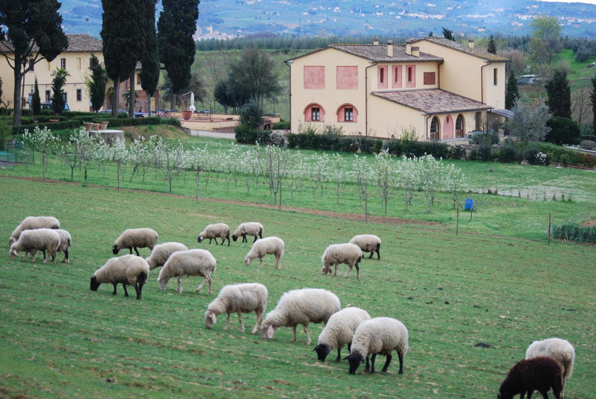 Agriturismo Fattoria Rozzalupi Cerreto Guidi Exterior photo